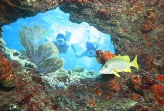 海中浮潜